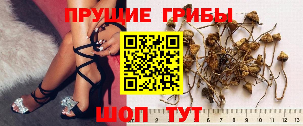 продажа наркотиков  Вход с VPN  Партизанск  Галлюциногенные грибы Psilocybe 
